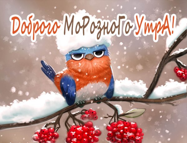 Доброе утро зима коты