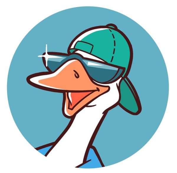 Утка в очках