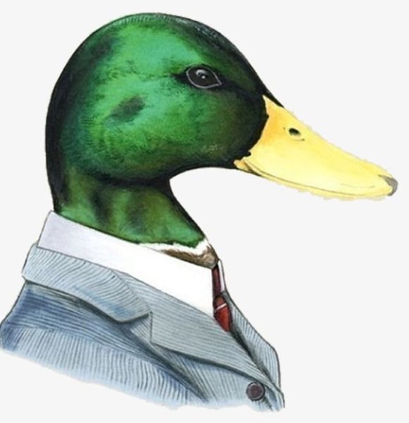 Гусь в пиджаке