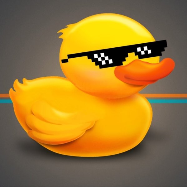 Уточка в очках