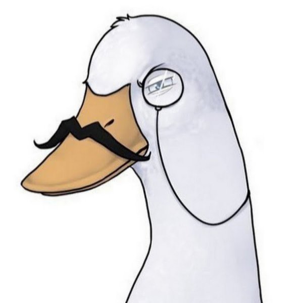 Гусь с усами