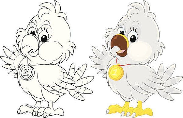 Орленок вектор