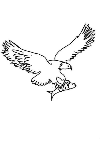 Орел раскраска для малышей