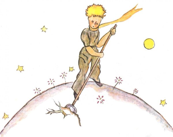 Иллюстрация к сказке маленький принц