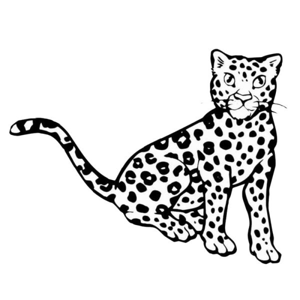Раскраска леопард