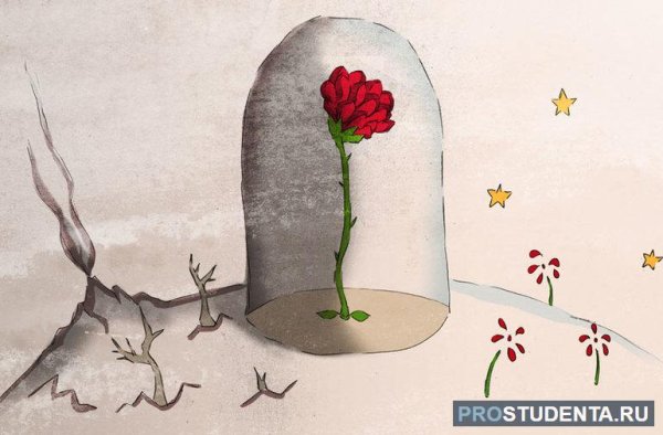 Экзюпери маленький принц роза