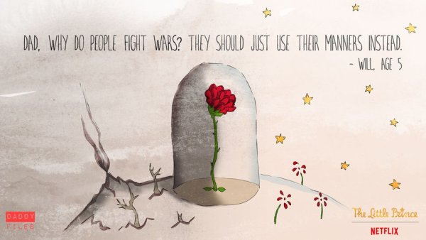 Роза под колпаком из маленького принца