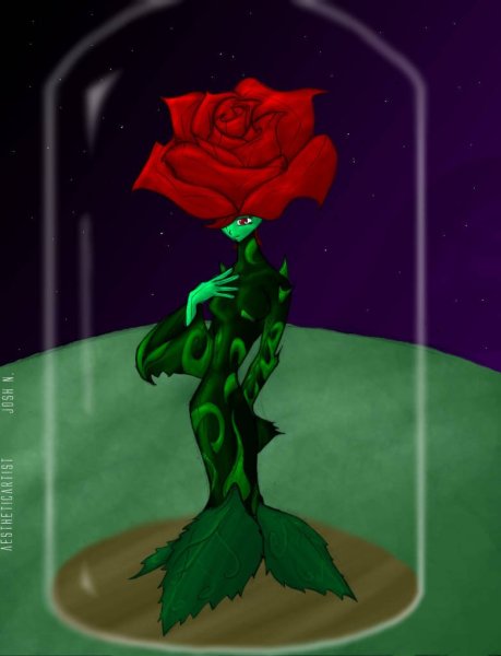 Роза из маленького принца