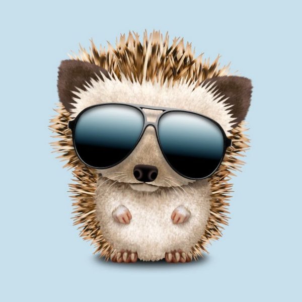 Ежик в очках арт