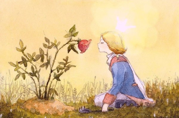 Экзюпери маленький принц роза