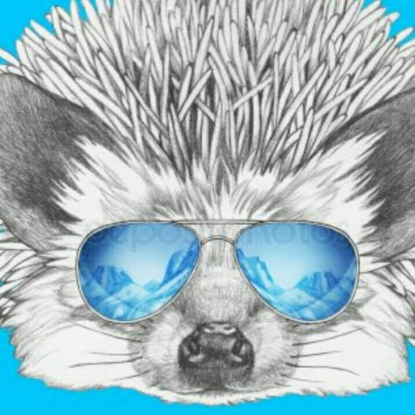 Ежик в очках