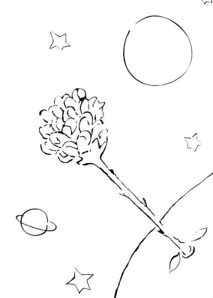 Экзюпери маленький принц роза