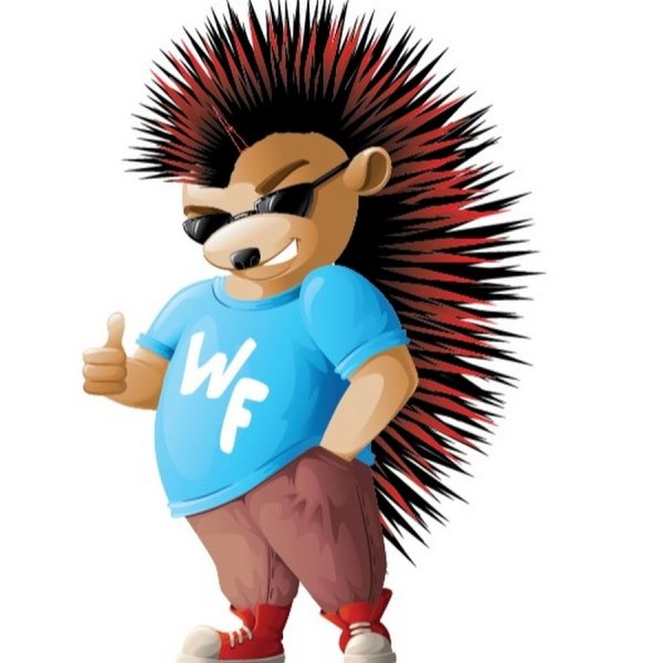 Крутой Ежик