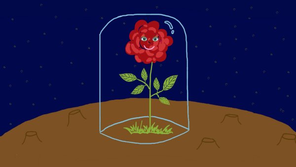 Роза из маленького принца