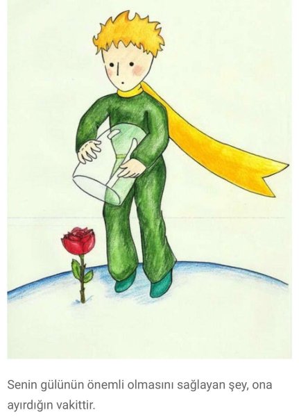 Маленький принц иллюстрации Экзюпери роза