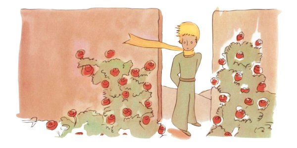 Экзюпери маленький принц роза