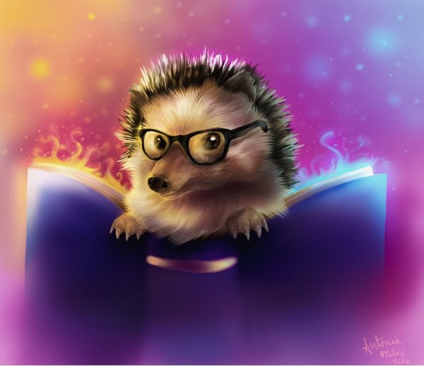 Крутой Ежик