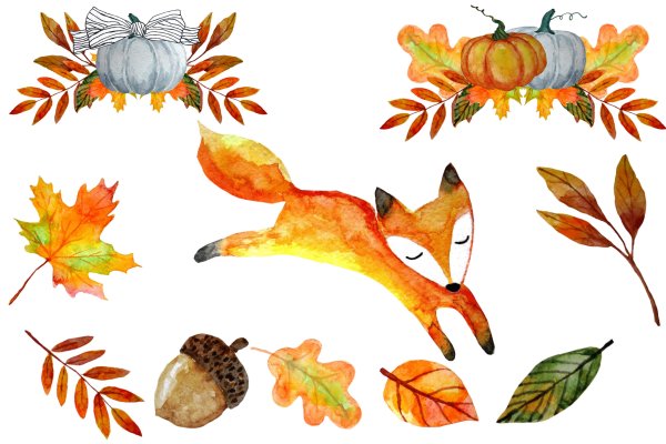 Осенние раскраски для малышей