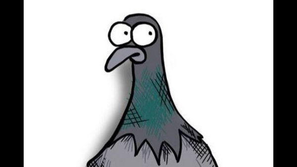 Бешеный голубь