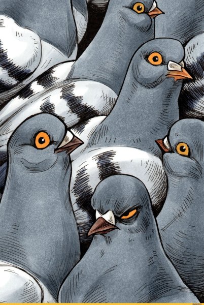 Голубь Геннадий хуманизация