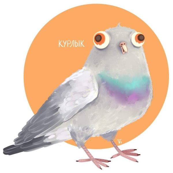 Курлык курлык