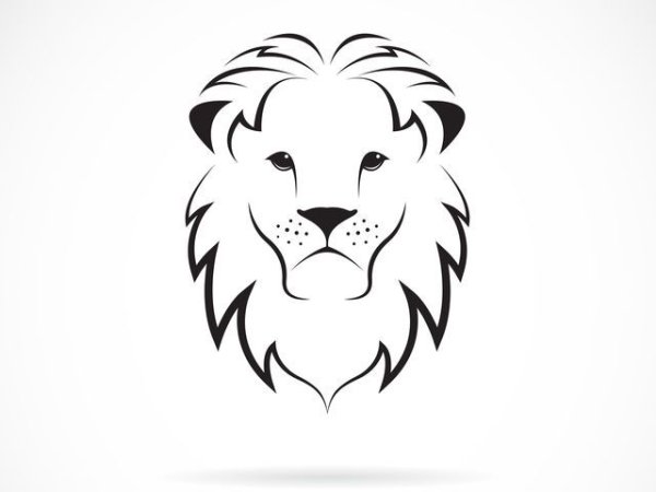 Лев эскиз легкий