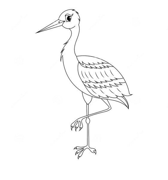 Аист раскраска для детей