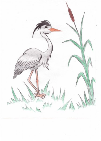 Цапля раскраска