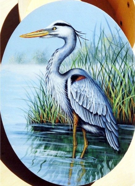 Цапля черно белая