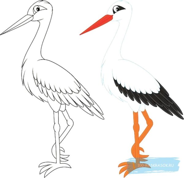 Аист рисунок
