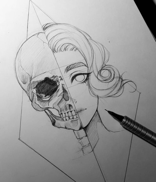 Рисунки для скейтчубок