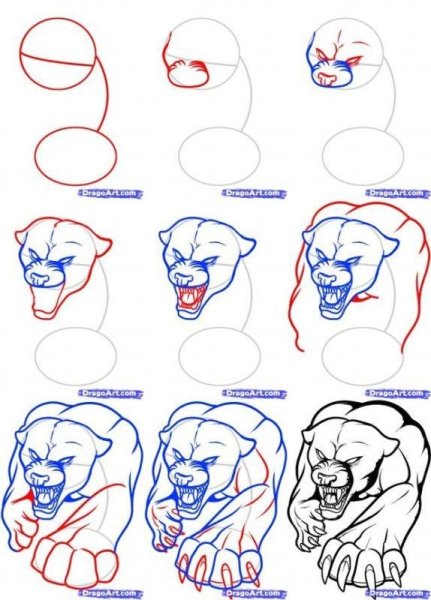 Рисунки по этапно