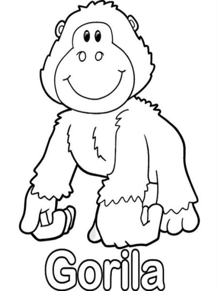 Gorilla picture for Kids раскраска