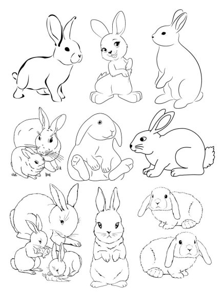 Раскраски маленьких зайчиков