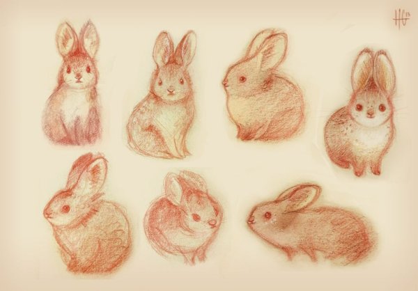 Кролик для рисования