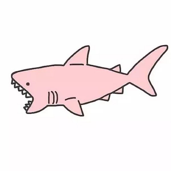 Акула срисовка легкие