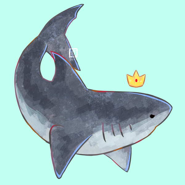 Милая акула