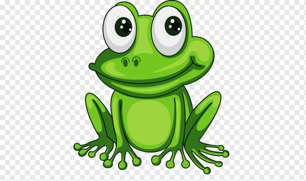 Лягушка карточка для детей