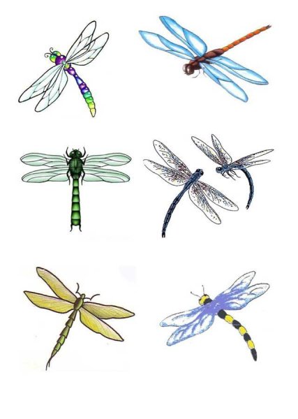 Стрекоза рисунок