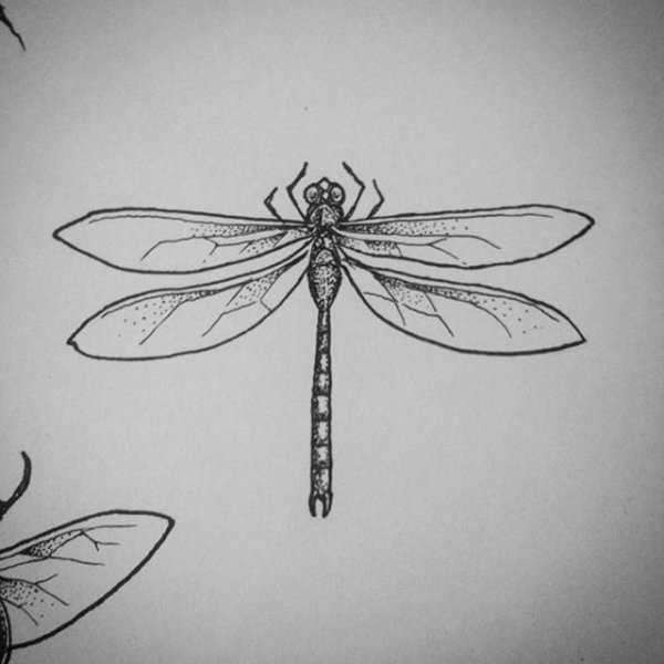 Стрекоза силуэт