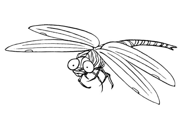 Стрекоза трафарет