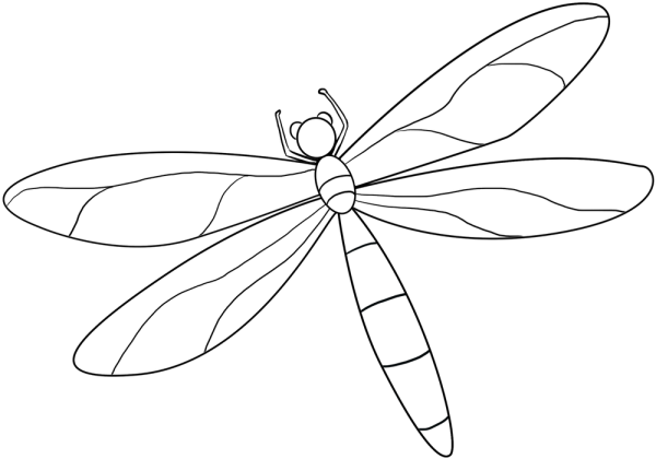 Стрекоза трафарет