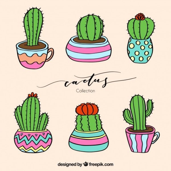 Милые кактусы для срисовки