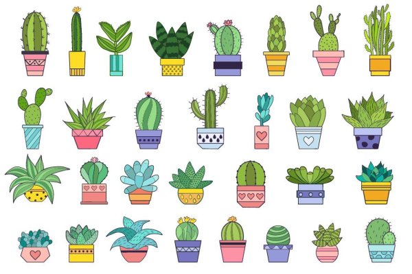 Стикеры кактусы