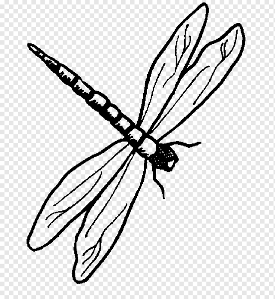Стрекоза раскраска