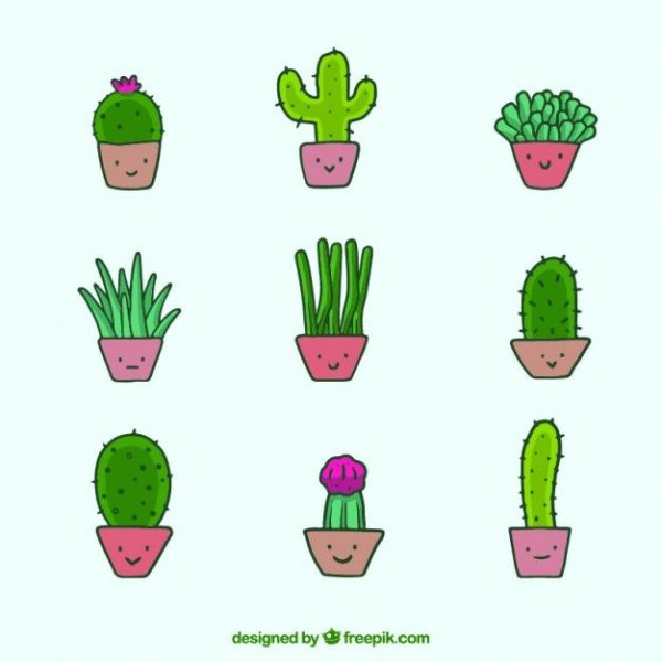 Маленькие милые кактусы