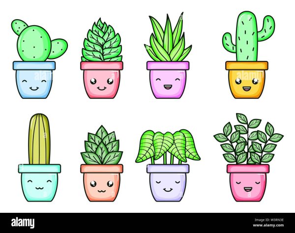 Бумажные сюрпризы кактусы