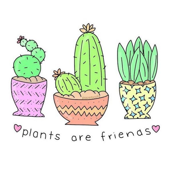 Кактусы для скетчбука