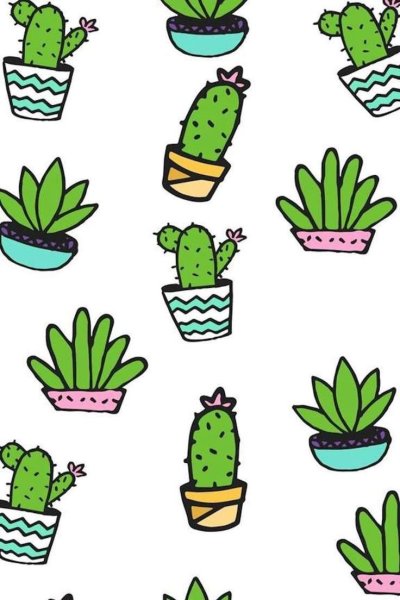 Кактус Бенуа