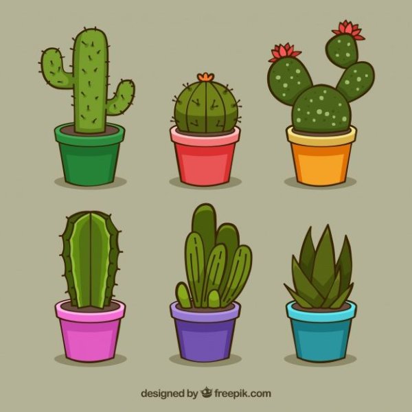 Нарисовать Кактус в горшке